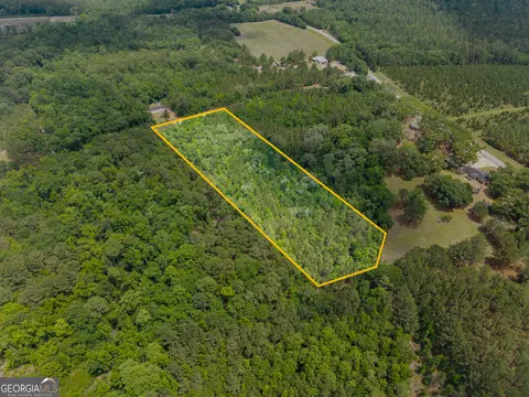 0 Mt Pleasant Rd, Daisy, GA 30423 photo 3