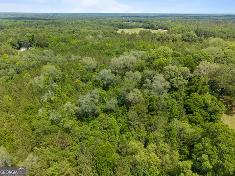 0 Mt Pleasant Rd, Daisy, GA 30423 photo 9