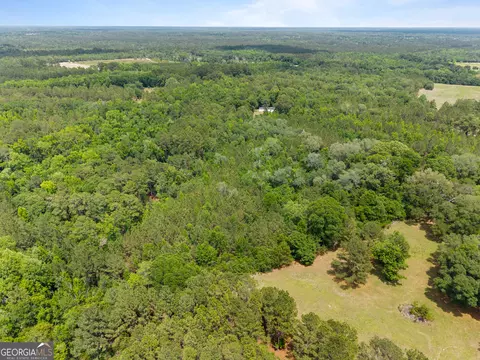 0 Mt Pleasant Rd, Daisy, GA 30423 photo 8