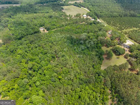 0 Mt Pleasant Rd, Daisy, GA 30423 photo 6