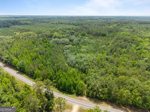 0 Mt Pleasant Rd, Daisy, GA 30423 photo 10
