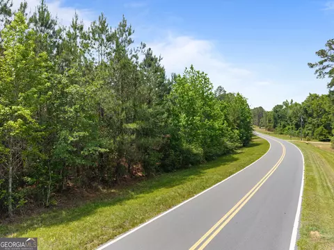 0 Mt Pleasant Rd, Daisy, GA 30423 photo 12