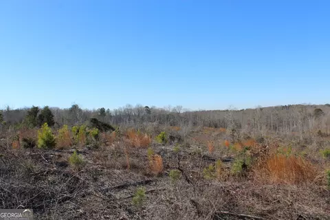57 Ac Victory Rd, Franklin, GA 30217 photo 3