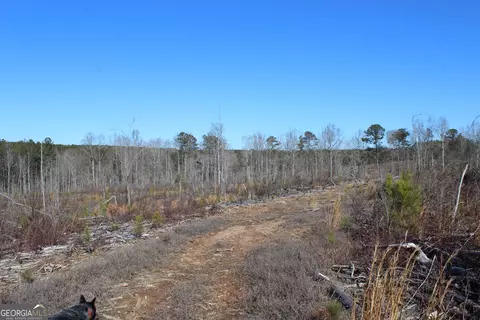 57 Ac Victory Rd, Franklin, GA 30217 photo 9