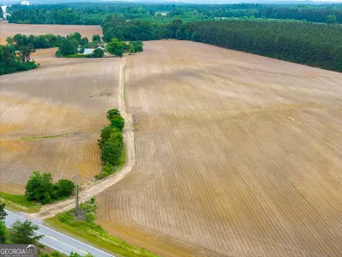 Other - 1300 Terry Dr, Stapleton, GA 30823 photo 10 of 16