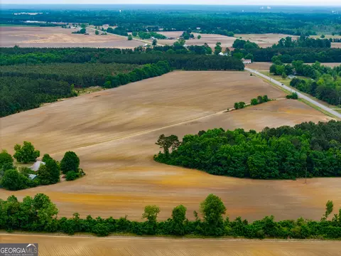 Other - 1300 Terry Dr, Stapleton, GA 30823 photo 3 of 16