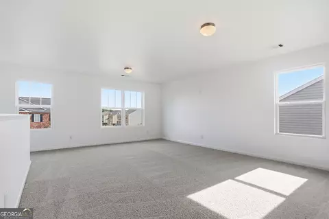 1705 Blue Heron Way, Hampton, GA 30228 photo 19
