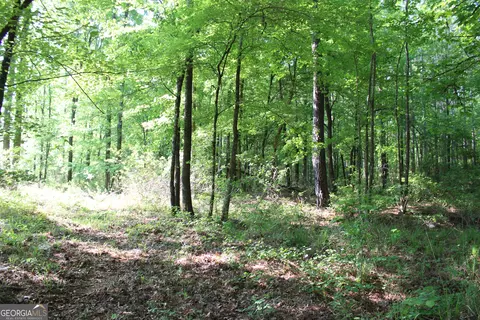 0 Ga Hwy 87 Tract 1, Forsyth, GA 31029