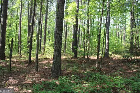 00 Hwy 87 Tract 2, Forsyth, GA 31029