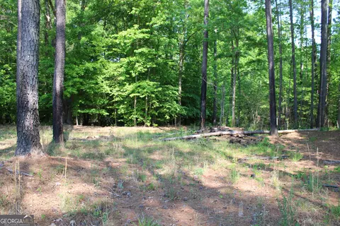 000 Hwy 87 Tract 3, Forsyth, GA 31029
