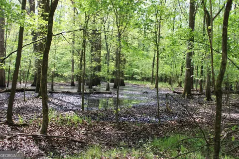 0 Ruffner Rd, Barnesville, GA 30204 photo 42