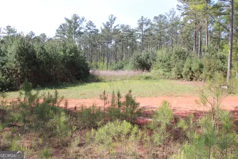 0 Ruffner Rd, Barnesville, GA 30204 photo 36