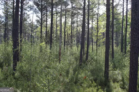 0 Ruffner Rd, Barnesville, GA 30204 photo 22