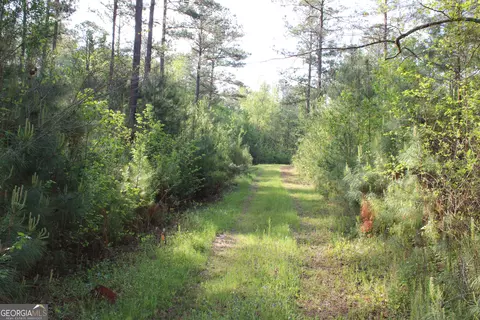 0 Ruffner Rd, Barnesville, GA 30204 photo 12
