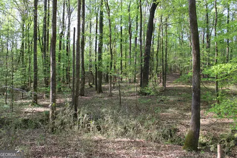0 Ruffner Rd, Barnesville, GA 30204 photo 29