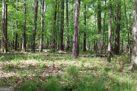 0 Ruffner Rd, Barnesville, GA 30204 photo 47