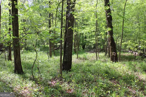 0 Ruffner Rd, Barnesville, GA 30204 photo 40