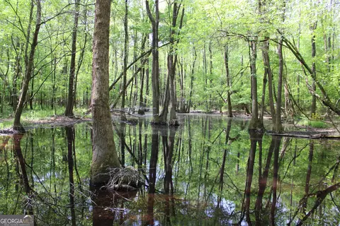 0 Ruffner Rd, Barnesville, GA 30204 photo 3