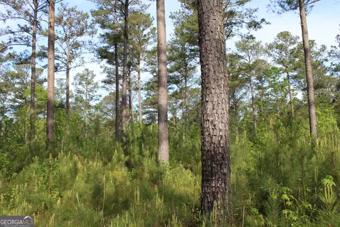 0 Ruffner Rd, Barnesville, GA 30204 photo 19