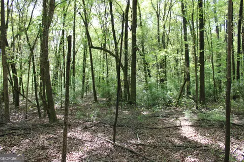 0 Ruffner Rd, Barnesville, GA 30204 photo 39