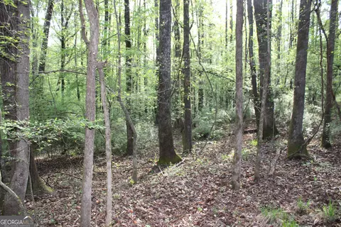 0 Ruffner Rd, Barnesville, GA 30204 photo 8