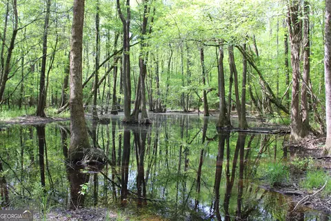 0 Ruffner Rd, Barnesville, GA 30204 photo 45