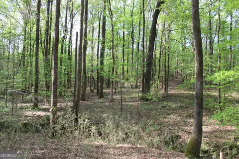 0 Ruffner Rd, Barnesville, GA 30204 photo 30