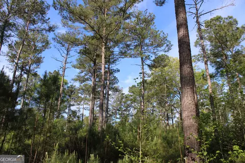 0 Ruffner Rd, Barnesville, GA 30204 photo 16