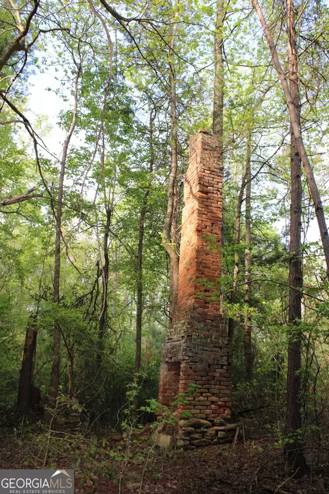 0 Ruffner Rd, Barnesville, GA 30204 photo 17