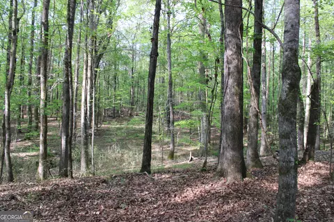 0 Ruffner Rd, Barnesville, GA 30204 photo 28