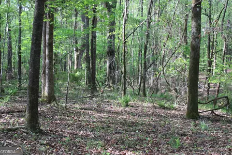 0 Ruffner Rd, Barnesville, GA 30204 photo 25