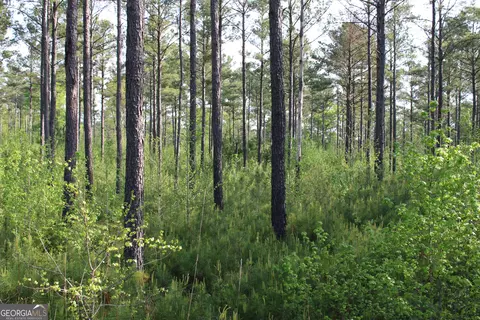 0 Ruffner Rd, Barnesville, GA 30204 photo 20