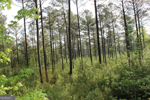0 Ruffner Rd, Barnesville, GA 30204 photo 21