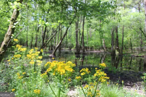 0 Ruffner Rd, Barnesville, GA 30204 photo 5