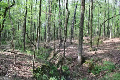 0 Ruffner Rd, Barnesville, GA 30204 photo 7