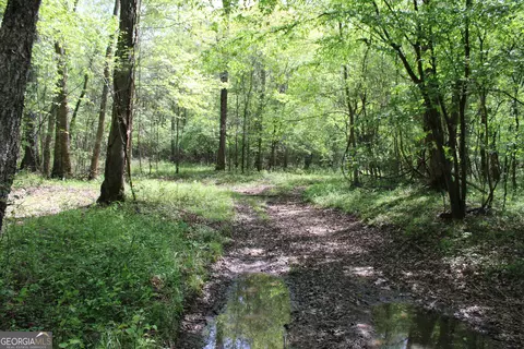 0 Ruffner Rd, Barnesville, GA 30204 photo 41