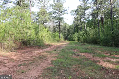 0 Ruffner Rd, Barnesville, GA 30204 photo 15