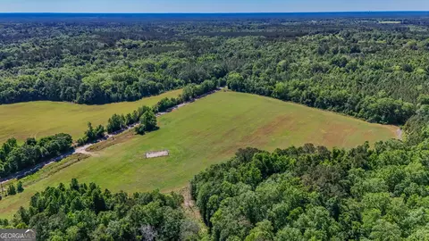 0 Darsey, Cairo, GA 39828 photo 11
