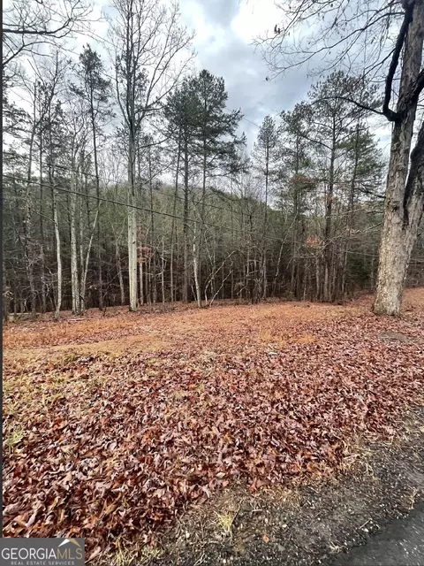 130 Connesena Rd, Kingston, GA 30145