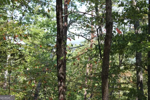00 Conniston Rd, Chatsworth, GA 30705