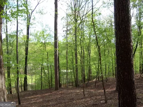 0 Brer Rabbit Trl, Milledgeville, GA 31061
