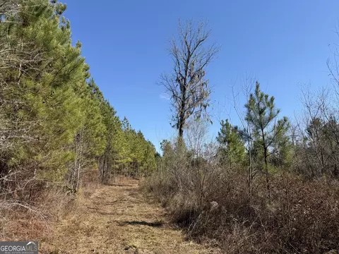0021 Barnes Rd, Gordon, AL 36343 photo 6