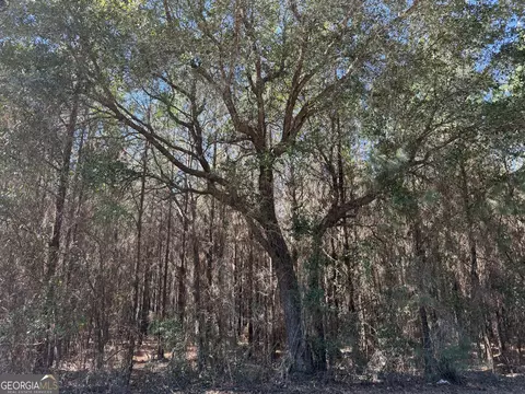 0021 Barnes Rd, Gordon, AL 36343 photo 10