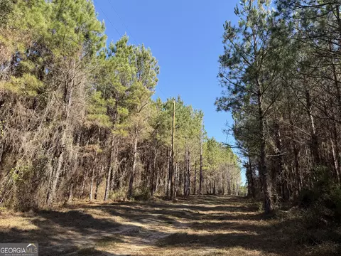 0021 Barnes Rd, Gordon, AL 36343 photo 9