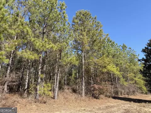 0021 Barnes Rd, Gordon, AL 36343 photo 7