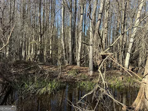 0021 Barnes Rd, Gordon, AL 36343 photo 3