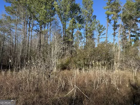 0021 Barnes Rd, Gordon, AL 36343 photo 4