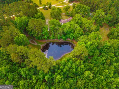3869 Hiltonia-perkins Rd, Sylvania, GA 30467