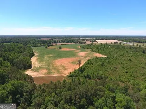0 Ben Hadden Rd, Stapleton, GA 30823 photo 4