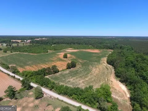 0 Ben Hadden Rd, Stapleton, GA 30823 photo 3